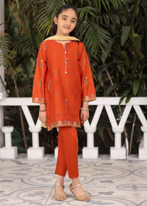 3 Piece Sand Dust Embroidered Suit