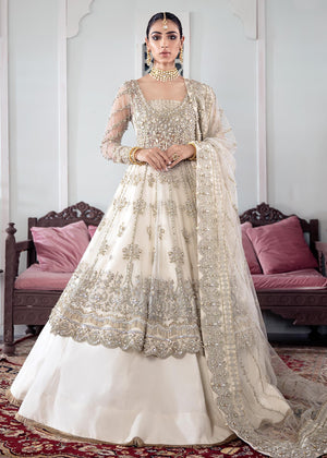 Gulaal - Meeral Embroidered Net 3-Piece Suit WS-22