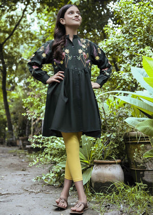 Green Embroidered Frock