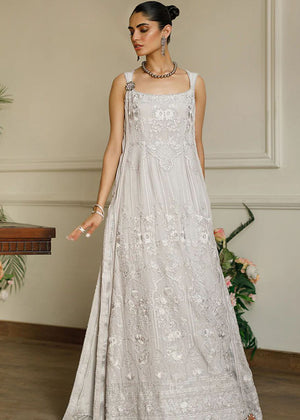 Chiffon Embroidered Dress - 8385