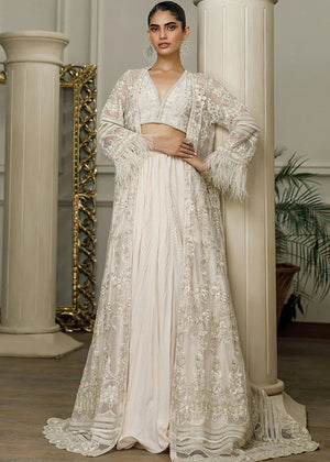 Net Embroidered Jacket With Skirt - 8273.2