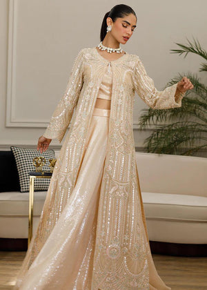 Chiffon Embroidered Gown With Blouse And Skirt - 8424.1