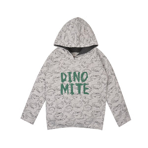 Dino Mite Boys Hoodie