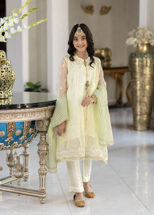 3 PIECES LEMON ORGANZA SUIT