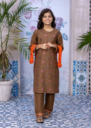 3 PIECE-BROWN DHANAK EMBROIDERED SUIT