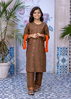 3 PIECE-BROWN DHANAK EMBROIDERED SUIT