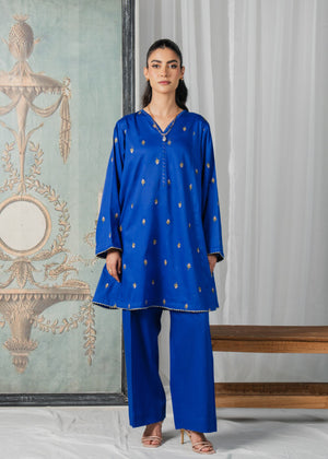 Blue Embroidered Suit