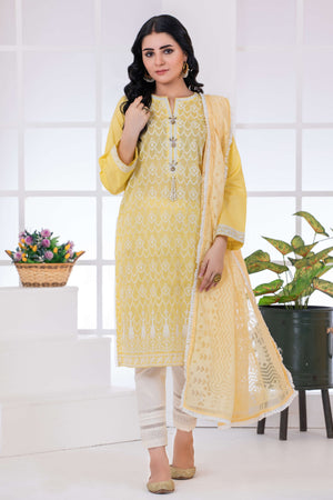 02 Piece Chikankari Collection