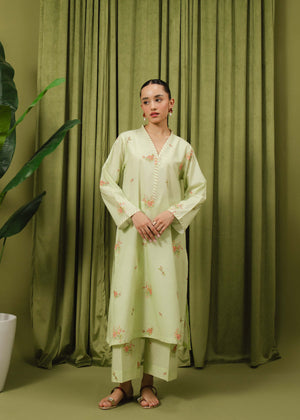 Pastel Green Printed Suit