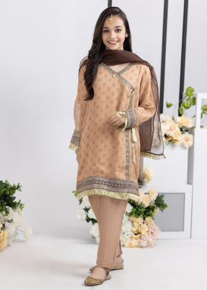 3 Pieces Skin Angrakha Embroidered Suit