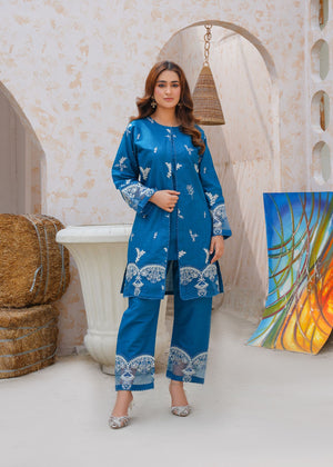 Sanobar 2pc two piece stitched suit