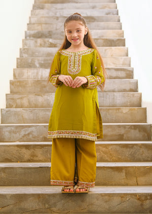 Anaya - 2ps Embroidered