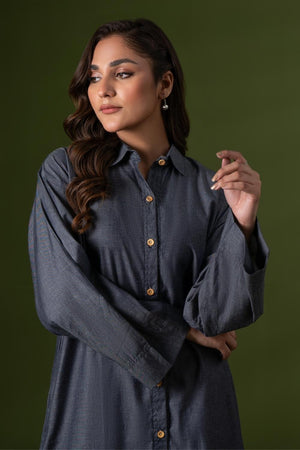 1PC Stitched | Denim Basic Shirt