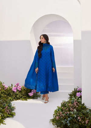 Charr Blue Embroidered Raw Silk Shirt and Dupatta