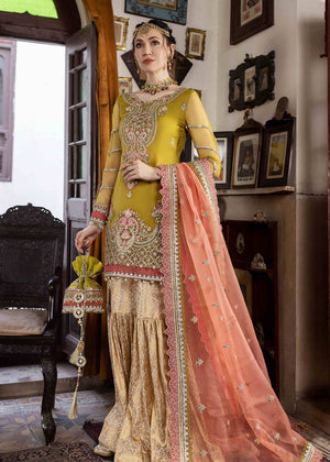 Aanchal Olive Green 03