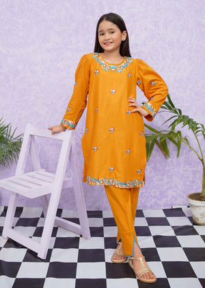 Cotton Embroidered 2 Piece Suit - 8485