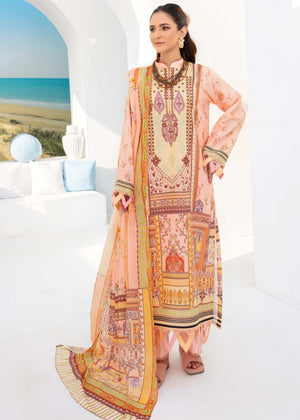 Saira Bano Embroidered Lawn - D10