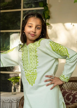 Light Green Embroidered Kurti