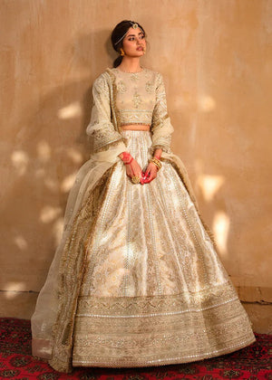 QK*-KF-04 AFSANAH (S)