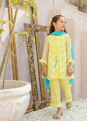 Chiffon Embroidered 3 Pc Suit OFW-EM-18
