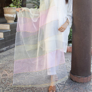 Multi-color Organza Dupatta