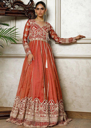 Net Embroidered Dress - 8373