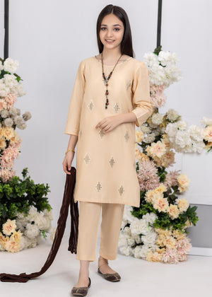 3 PIECES SKIN EMBROIDERED SUIT