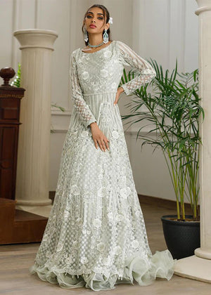 Net Embroidered Dress - 8286.1