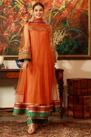 pakistani ready to wear net dress