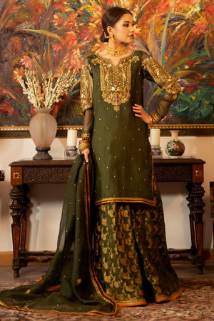 pakistani ready to wear organza dress