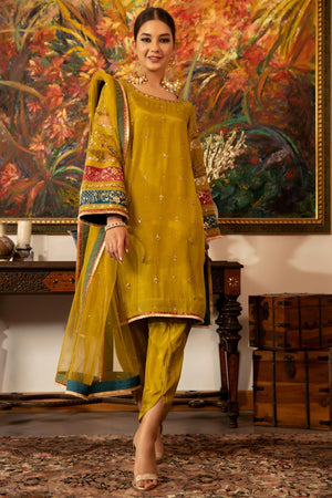 pakistani ready to wear raw silk dress