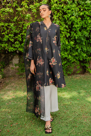 AQS-E-DASHT-2PC (SHIRT & DUPATTA)