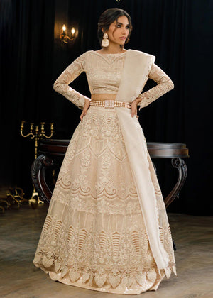 Organza Embroidered Blouse And Skirt - 7941.4