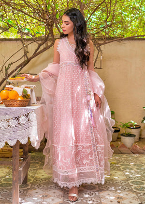 Shiza Ahmed Label - Aiyleen Pink (2 PC)