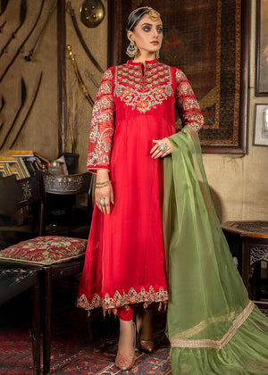 Embroidered Organza Suit-2502