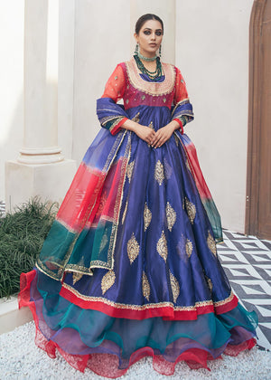 Dureshahwar Atelier - Peacock gown