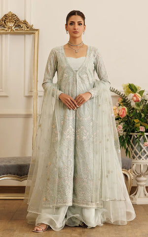 Net Embroidered Gown With Skirt - 8407