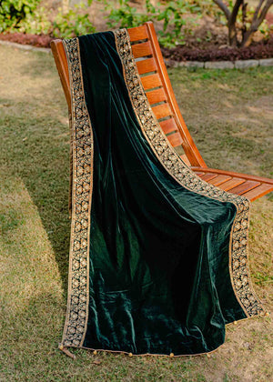 Green Embroided Shawl