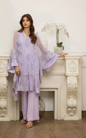 Net Embroidered Cape With Trouser - 8693