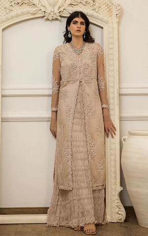 Net Embroidered Dress with Chiffon Skirt - 8695