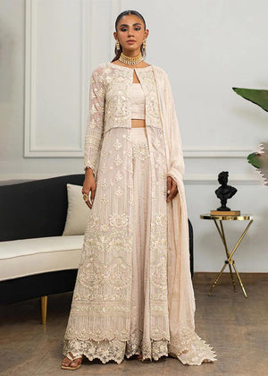 Chiffon Embroidered Jacket With Skirt - 8063.3