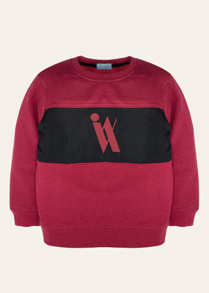 IX Colorblock Sweatshirt