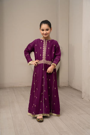 Plum Embroidered Frock