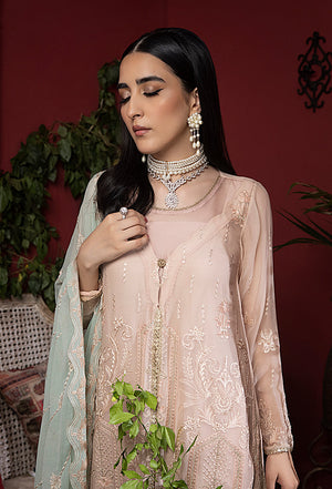 Heer embroidery chiffon collection-HR-09